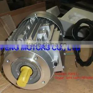 IE2 Low Terminal Box AC 3 Phase Electric Motor thumbnail-1