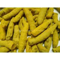 Curcumin thumbnail-1