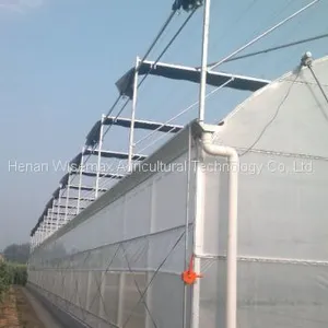 Large Size Plastic Film Multi Span Agricultural Greenhouses thumbnail-2