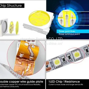 High Quality Waterproof Sicicon Led Strip High CRI Flexible Strip thumbnail-2