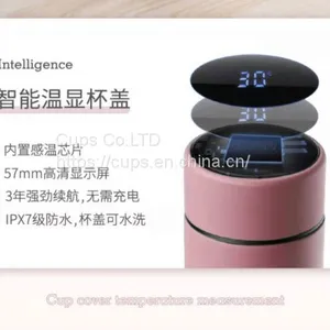 Vacuum Cup thumbnail-2