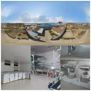 Junan Kaibing Cereals And Oils Foodstuffs Co.,ltd. company overview - view 1 thumbnail