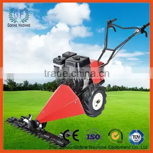 Gasoline Lawn Mower thumbnail-1