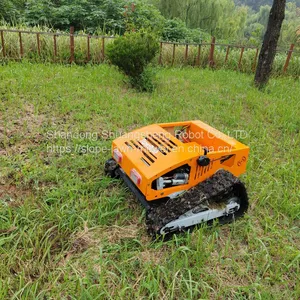 Radio Controlled Mower, China Remote Mower Price, Robotic Brush Mower for Sale thumbnail-5