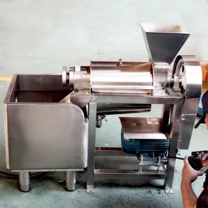 Industrial Fruit and Vegetable Spiral Automatic Juicer, Stainless Steel Fruit Extraction Machine thumbnail-2
