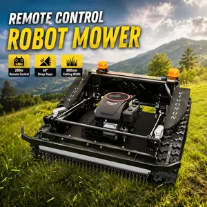Remote Control Operation Cortadora De Cesped Robot Grass Mowing Robot Rc Mower 800 Grass Trimming Machine thumbnail-1