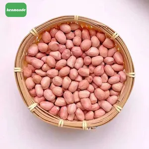 Food Manufacturing Natural Red Skin Red Skin Peanuts 34/38 for Export Wholesale thumbnail-2