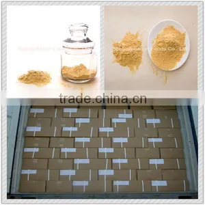 Hydrolyzed Vegetable Protein Powder thumbnail-2