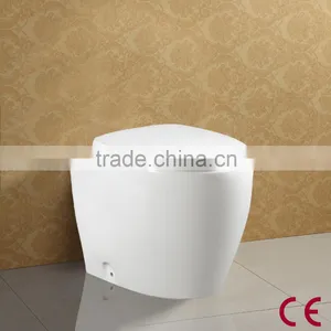 Wash Down P Trap Wall Hung CE Toilet thumbnail-4