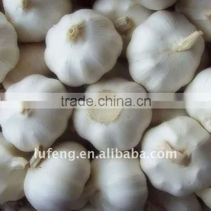 Pure White Fresh Garlic thumbnail-1