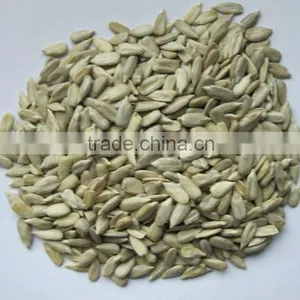 Chinese Sunflower Kernels for Roast thumbnail-1