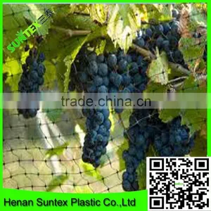 High Quality Bop Stretch Bird Catch Net,plastic Anti Bird Net Also Used for Plant Support Netting thumbnail-1