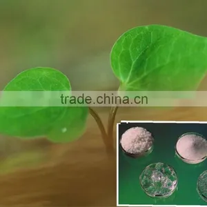 Polymer Gel Crystals ( Super Absorbent Polymer ) Used for Agriculture thumbnail-1