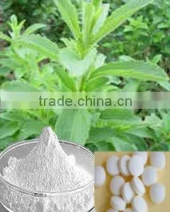Pure Stevia Extract Powder thumbnail-1
