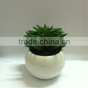 Wholesale Bonsai Pots thumbnail-1