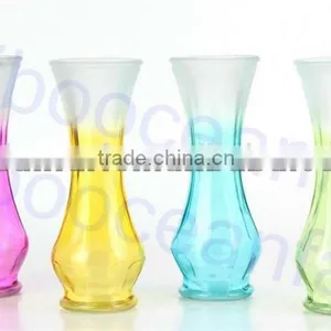 Colorful Wholesale Lifestyle Glass Vase thumbnail-1