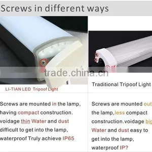 30W CE RoHs BV IP65 0.6m/1.2m/1.5m Led Tri-proof Light 30w thumbnail-6