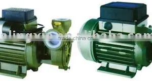Centrifugal Pump Garden Automatic Peripheral Self-priming Household Clean Water Pump DB thumbnail-1