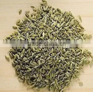 Fennel Extract thumbnail-1