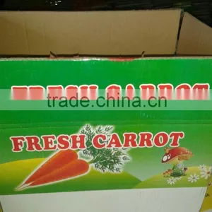 2016 New Corp Chinese Fersh Carrot thumbnail-4