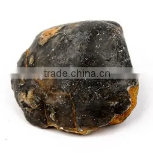 Fossil Specimens, Bornhardtina Sp. thumbnail-1