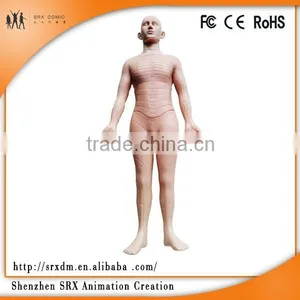 Custom Human Boby Model,human Torso Model ,plastic High Quality Injection Model Toy thumbnail-1