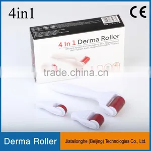 Stretch Mark Removal Derma Roller Home Use Derma Roller Kit 300/720/1200 Stainless Micro Needling Derma Roller 4 in 1 thumbnail-4