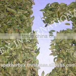 Dried Fennel Seed thumbnail-3