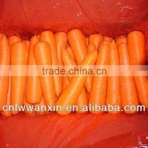 Chinese Fresh Washed Carrot thumbnail-1