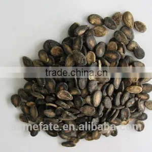 Black Watermelon Seeds B Grade in Low Price thumbnail-4