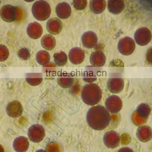 Natural Astaxanthin 1-10% 100% Pure Haematococcus Pluvialis Powder thumbnail-1