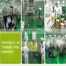 Shandong Colorfulmanor Vegetable Food Base Co., Ltd. company overview - view 3 thumbnail