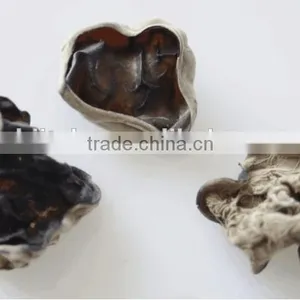 Dried White Back Black Fungus and Purchasing Large Qty Wood Ear Mushroom thumbnail-2