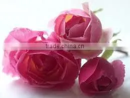 Pure & Natural Rose Oil / INDIA'S NO. 1 EXPORTER'S / MANUFACTURER / SUPPLIERS thumbnail-3
