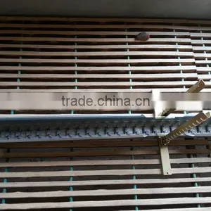 Economic Type Automatic Breeder Feeder Equipment thumbnail-4