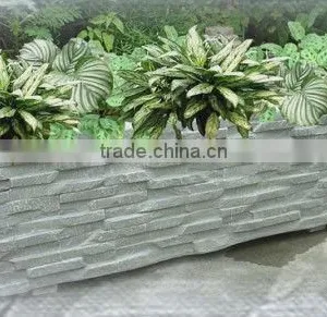 Resin Plant RSPTG-02A thumbnail-1