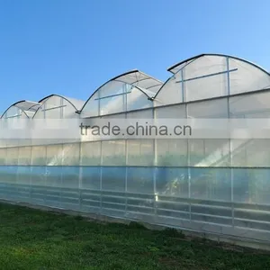 Greenhouse thumbnail-1