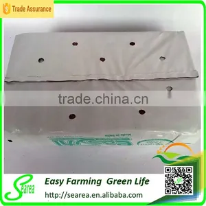 Rock Wool Cube for Greenhouse Hydroponic thumbnail-1