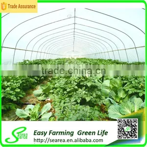 High Quality Agricultural Greenhouse in Plastic Film thumbnail-3