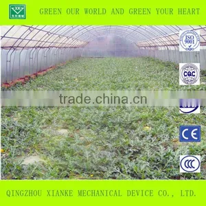 Large Venlo Film Greenhouse for Seeding thumbnail-2