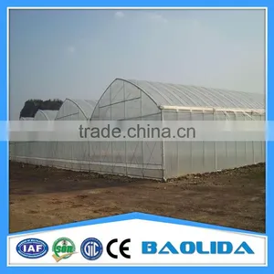 Multi-span Greenhouse Industry thumbnail-1