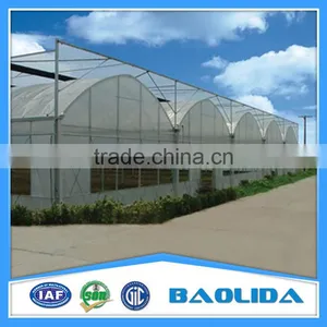 Multi Span Greenhouse /Invernadero For Vegetables thumbnail-3