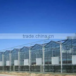 Glass Greenhouse-3 thumbnail-1