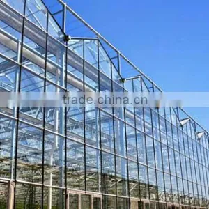 Glass Greenhouse-6 thumbnail-3