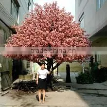Guangzhou Shengjie Artificial Plants Ltd. company overview - view 1 thumbnail