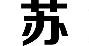Shijiazhuang Shunjinguangao Trade Co.,ltd company overview - view 1 thumbnail
