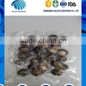 Iqf Frozen Vacuum Hard Clam With Stable Supply thumbnail-1
