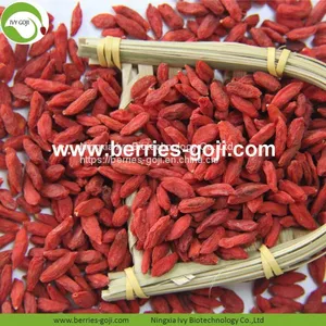 Factory Wholesale Dried Low Pesticide Goji Berry thumbnail-1