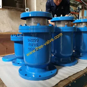 Exhaust valve 01