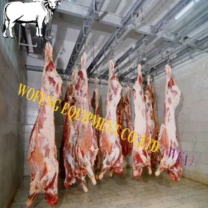 Freely Design Complete Cow Slaughter Line Equipment of Turnkey Project Solution Cattle Abattoir Machine thumbnail-1